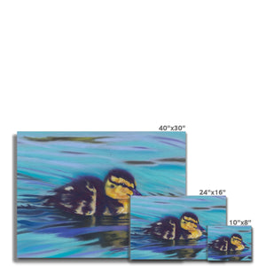'Little Duckling Cruise' Canvas