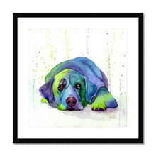 Load image into Gallery viewer, &#39;Tobykins&#39; Framed &amp; Mounted Print

