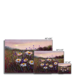 'Sunset Daisies' Canvas