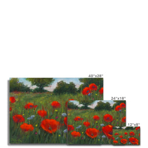 'Wild Poppies' Canvas