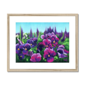 'Pretty Pansies' Framed & Mounted Print