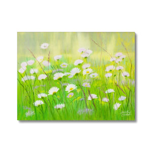 'Summer Daisies' Canvas