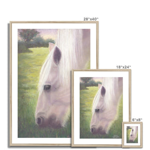 'Angel Horse' Framed & Mounted Print