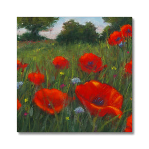 'Wild Poppies' Canvas